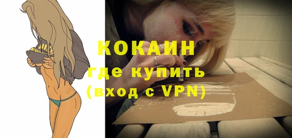ГАЛЛЮЦИНОГЕННЫЕ ГРИБЫ Тында