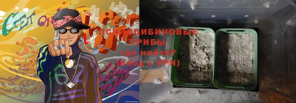 бутират Туринск
