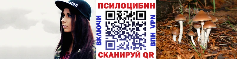 Галлюциногенные грибы Psilocybe Инсар